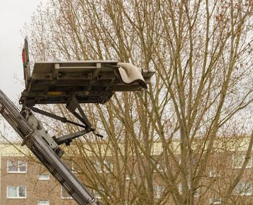 Möbellift in Gießen: Möbellift zwischen kahlen Bäumen vor einem Gebäude