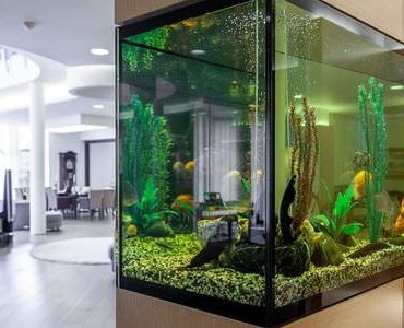 Aquarium-Umzug Gießen: Großes Aquarium in einem modernen Wohnzimmer