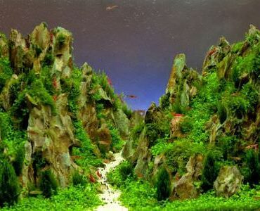 Aquarium-Umzug Gießen: Aquarium mit Felslandschaft und Pflanzen